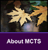 About MCTS...
